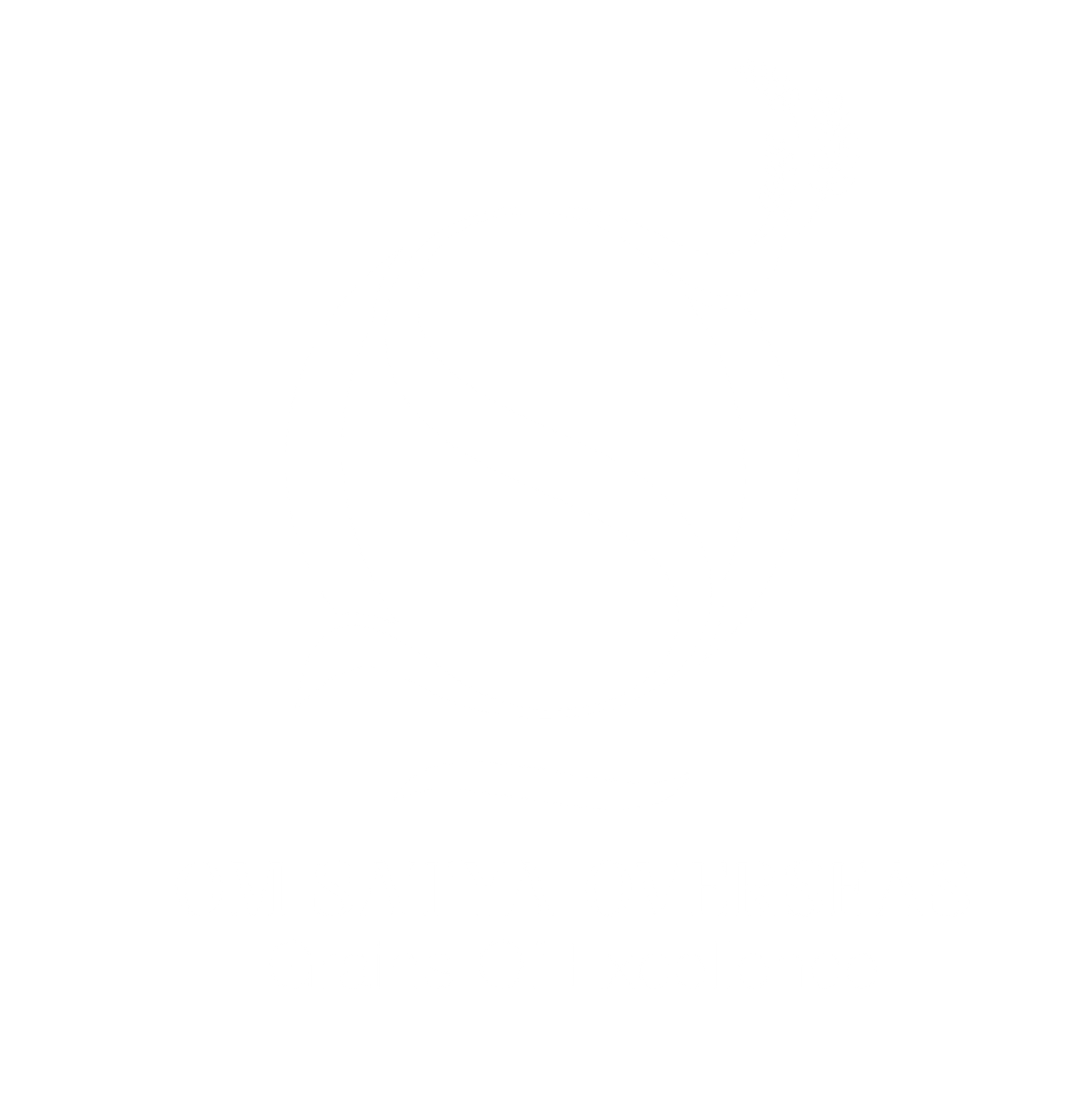 Om Satya Overseas logo